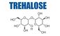 Catégorie cristalline 6138-23-4 d'USP de poudre d'édulcorant de dihydrate de Trehalose