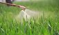 99,5% la pureté Trehalose est très utilisée dans le pesticide et le biopesticide